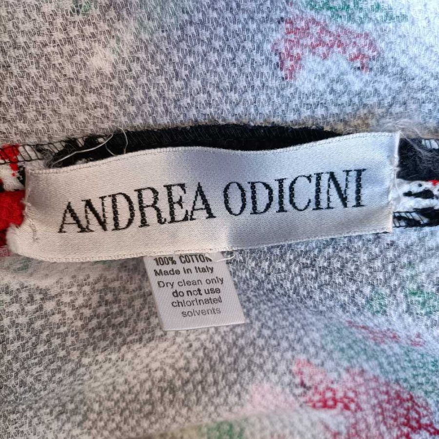 Andrea Odicini