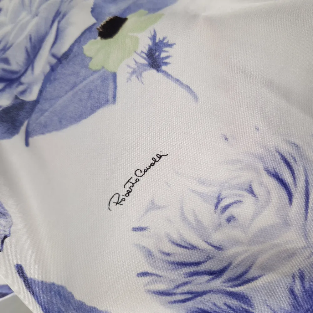Roberto Cavalli y2k
